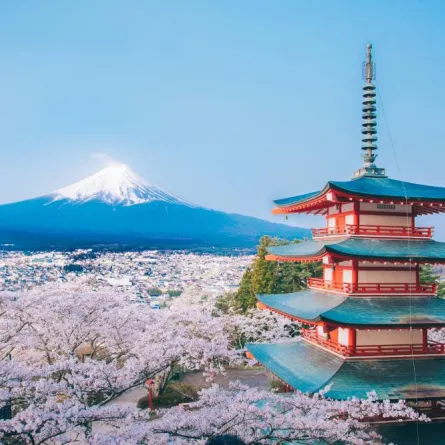 أمور ضرورية يجب معرفتها قبل السفر إلى اليابان