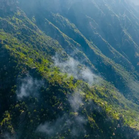 السودة للتطوير