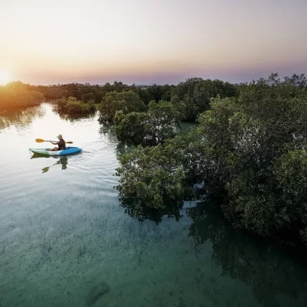 أبوظبي ترحب بالعالم لاكتشاف تجاربها الترفيهية والثقافية والطبيعية المُلهمة