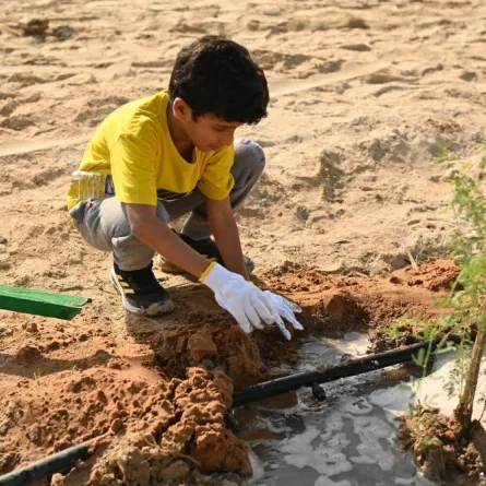 بلدية أبوظبي تعزز المظهر الجمالي لمداخل ومخارج العاصمة. الصورة من بلدية أبوظبي