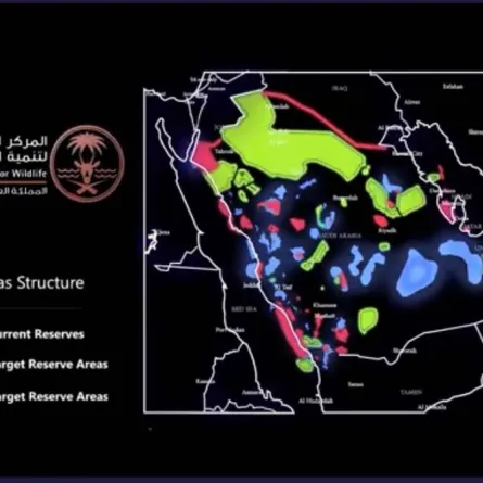 الحياة الفطرية