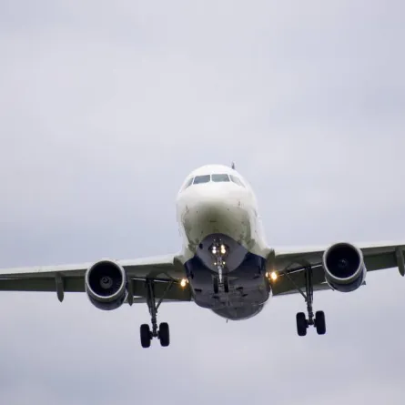 سرب طيور يؤخر رحلة للخطوط اليمنية لساعات