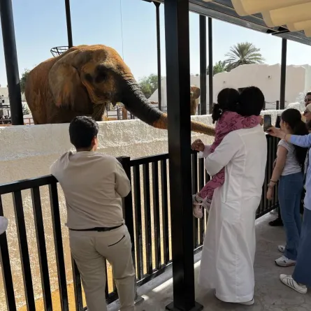 منطقة "رياض زوو" تعود لاستقبال زوارها ضمن موسم الرياض 2022