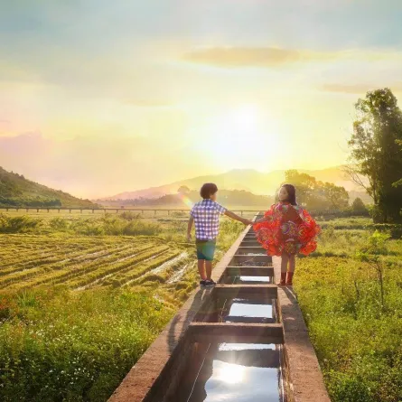 مهرجان البحر الأحمر السينمائي الدولي