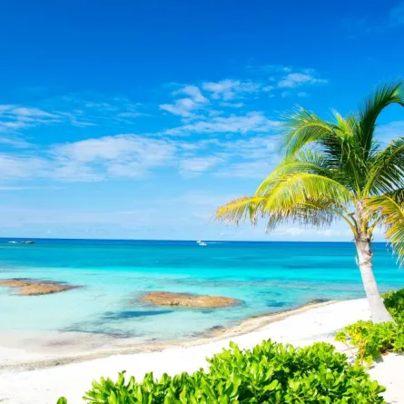 كل ما تحتاج معرفته قبل السفر إلى جزر البهاما