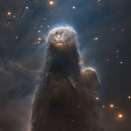 المرصد الأوروبي الجنوبي يلتقط صورا فريدة لمصنع نجوم مجرة درب التبانة