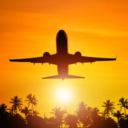 السفر الجوي