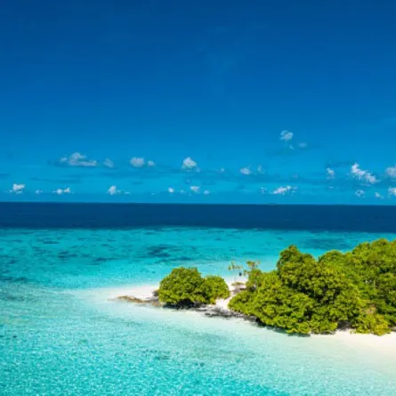 اكتشاف مخلوقات غريبة في أعماق المحيط الهندي