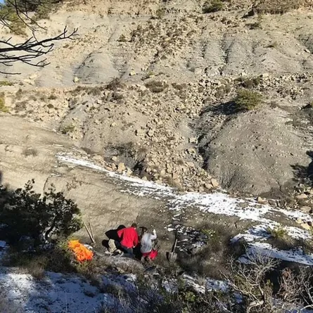 اكتشاف أحفورية لسلحفاة ضخمة وزنها أكثر من طن