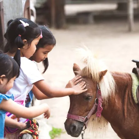 تجارب السفر