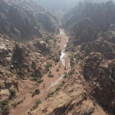 انضمام محمية الملك سلمان بن عبدالعزيز الملكية لقاعدة بيانات المحميات الطبيعية العالمية