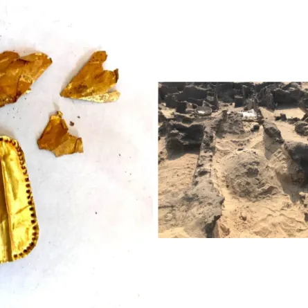 علماء الآثار في مصر يعثرون على "اللسان الذهبي" في مقابر المومياوات الرمز الأسطوري للحياة الأخرى - من الصفحة الرسمية التابعة لوزارة السياحة والآثار المصرية