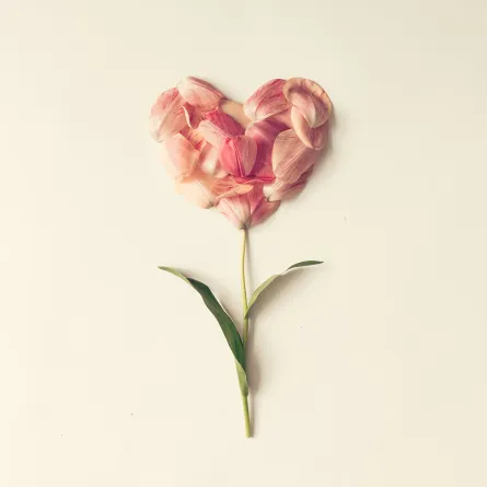 الفرق بين الرومانسية والرومانتيكية