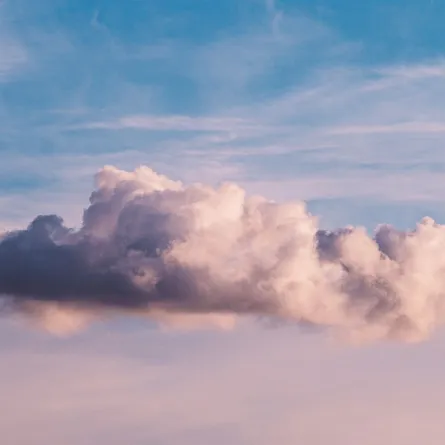 تفسير حلم ضرب شخص أعرفه (للمتزوجة)