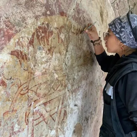 اكتشاف جدارية تعود إلى عصر ما قبل الكولومبي