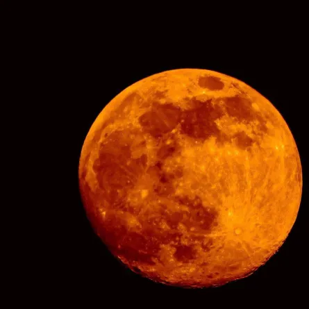 المريخ يختفي خلف القمر..!