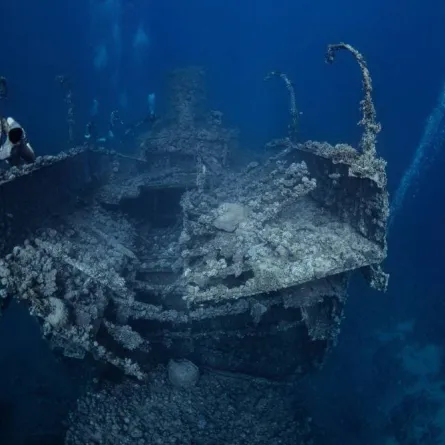 تظهر الصورة صورة الفائز أسامة