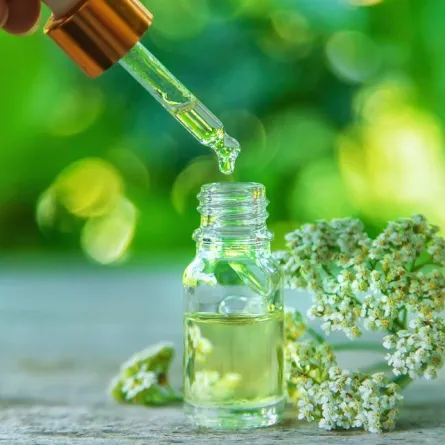 فوائد عشبة القيصوم