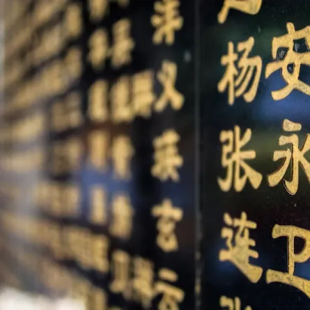  تدريس اللغة الصينية ضمن المقررات الاختيارية. الصورة من unsplash