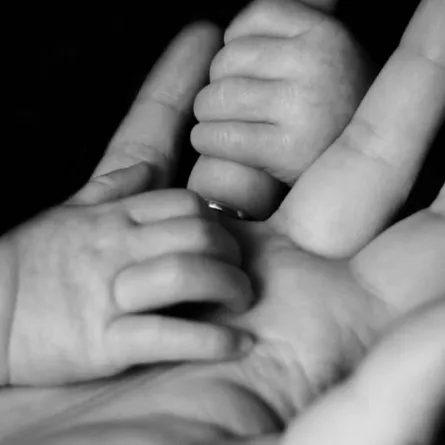 ولادة توائم