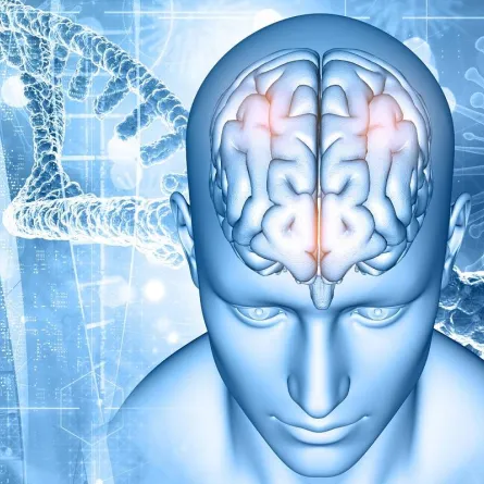 الأورام الدماغية.. طرق التشخيص والعلاج