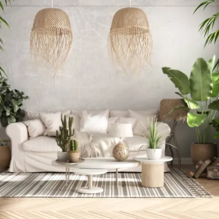 يجب أن تطل الحديقة الشتوية على صالة الاستقبال أو غرفة الجلوس 