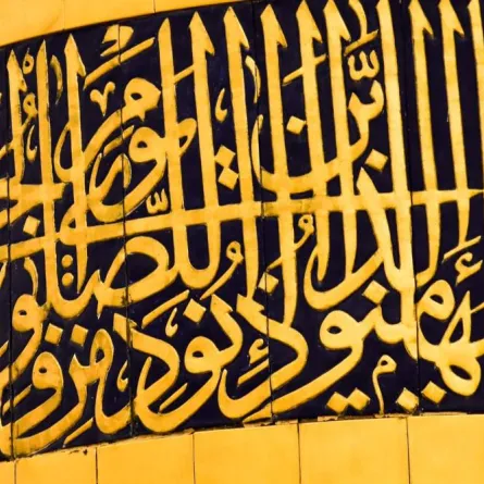 عجائب اللغة العربية فى يومها العالمي