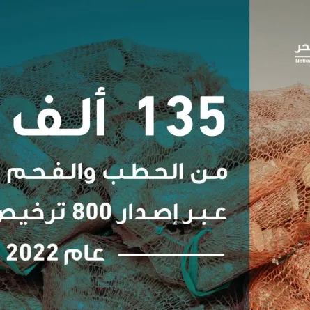 استيراد أكثر من 135 ألف طن من الحطب والفحم