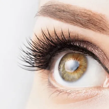 طريقة استخدام زيت بذور المشمش للرموش .. سيغنيك عن الماسكرا