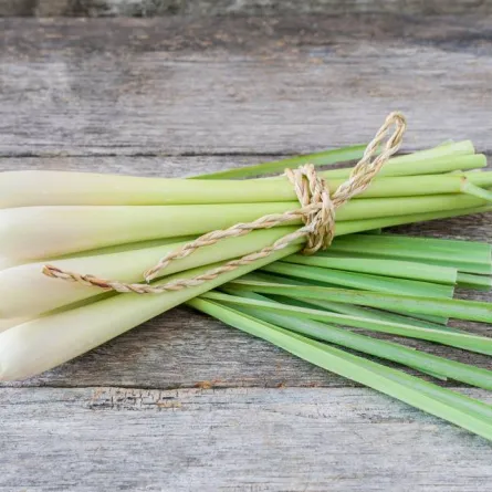 فوائد وأضرار عشبة الليمون