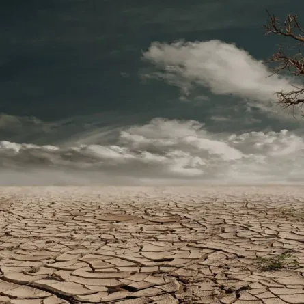  الأرض تواجه انقراضا جماعيا في 2100