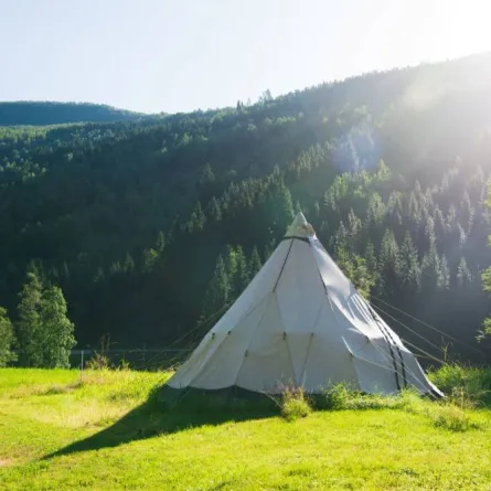 حياة البرية- صورة تعبيرية