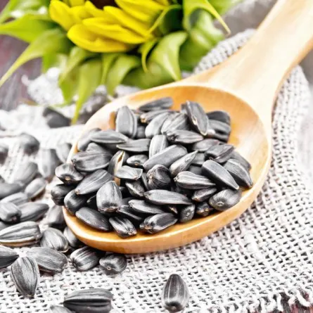 فوائد وأضرار بذور دوار الشمس