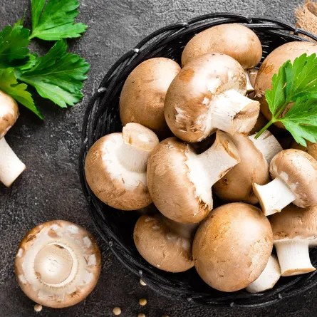 فوائد الفطر للصحة