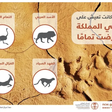 الحياة الفطرية