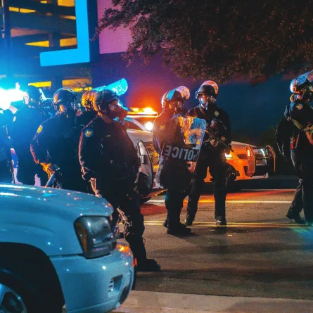 القبض على امرأة تسرق شجرة الكريسماس- Photo by AJ Colores on Unsplash