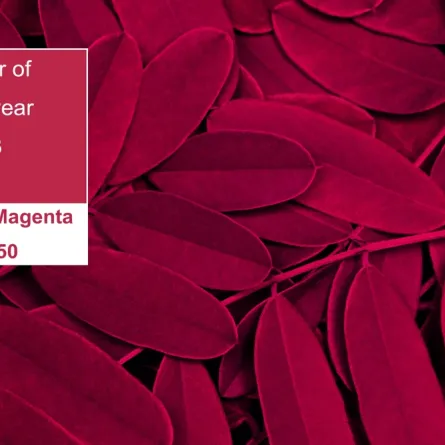 معهد الألوان يختار فيفا ماغنتا لوناً لعام 2023