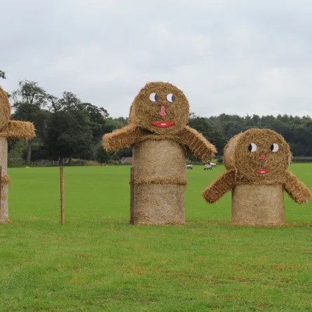 منحوتات من القش 