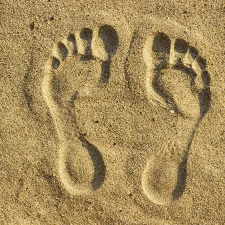 تعرفي على صاحبة أكبر أقدام في العالم