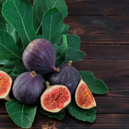 فوائد ورق التين للتنحيف