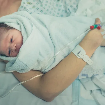 صورة لمولود جديد 2023