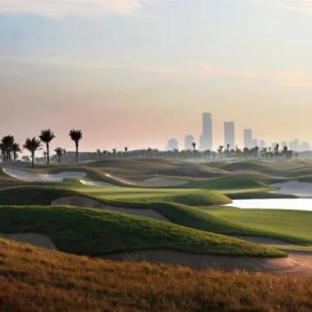 جزيرة السعديات 