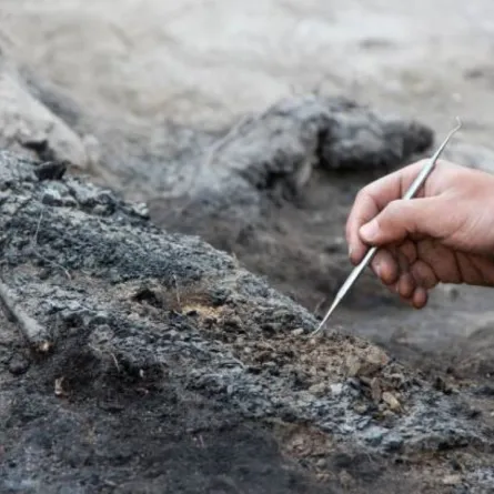 صورة تعبيرية