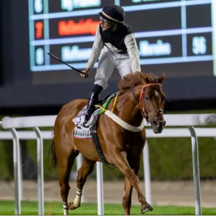 تم تتويج الحصان "ستار أوف ونز" بالنسخة الأولى. الصورة من العلاقات العامة