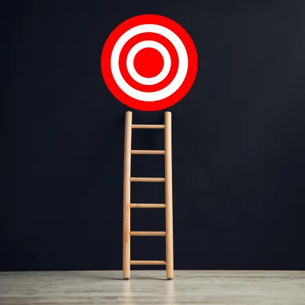 أهداف المنظمة