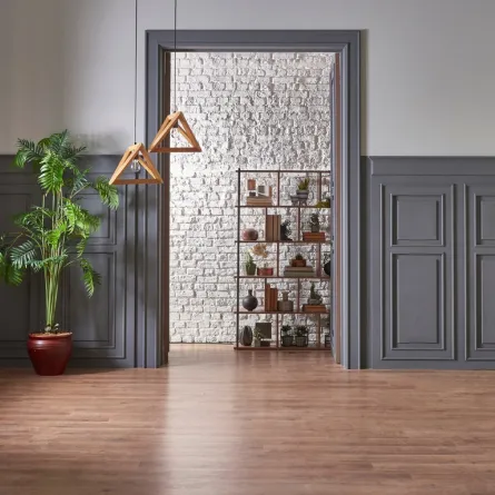 العناية بالجدران الجص