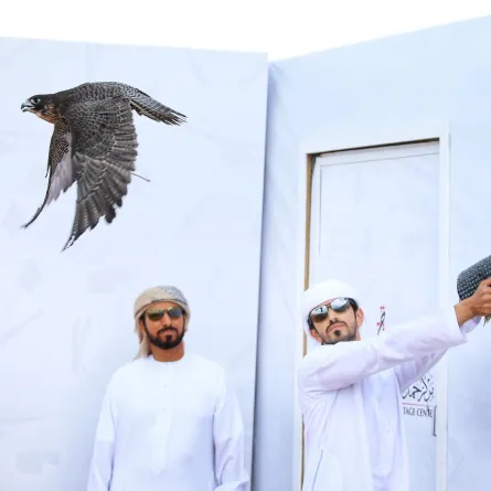 بطولة فزاع للصيد بالصقور- الصورة من مركز حمدان بن محمد لإحياء التراث 