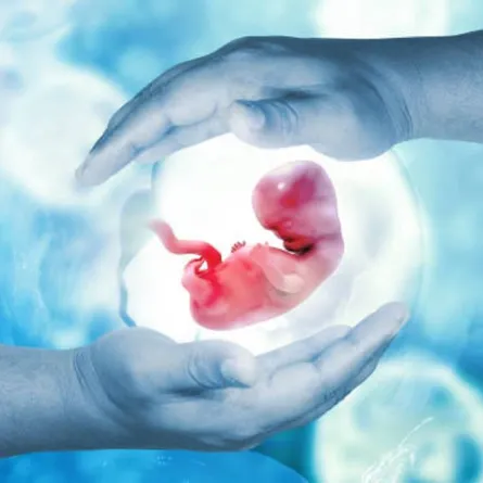 صورة تعبر عن الجنين وصغره في الرحم