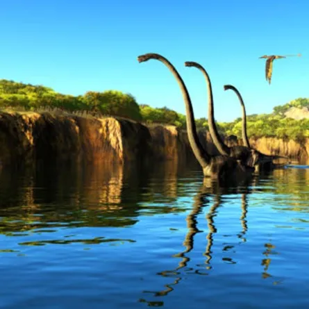 طائر برأس ديناصور يصدم العلماء في الصين