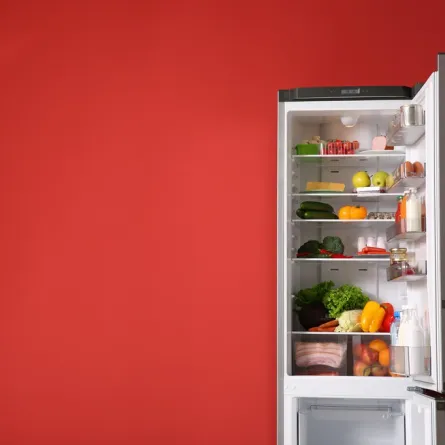 كيفية التخلص من رائحة العفن في الثلاجة؟